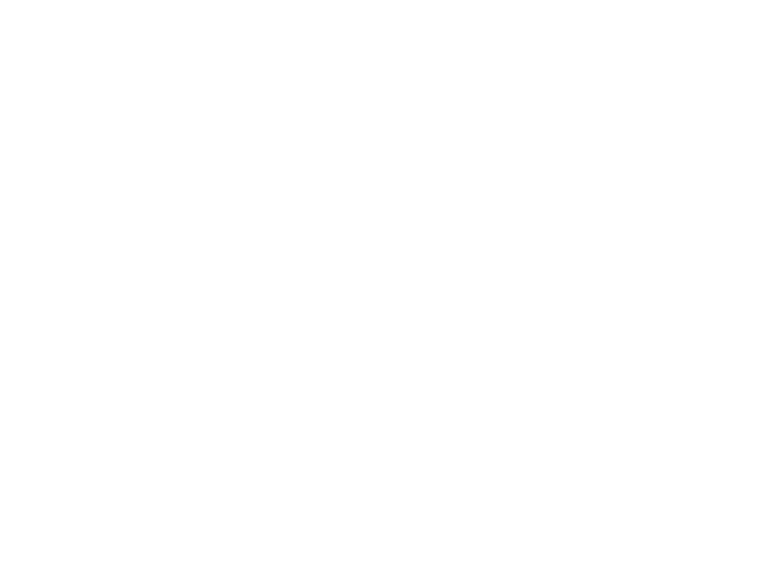 Logo TN Trang Nguyễn
